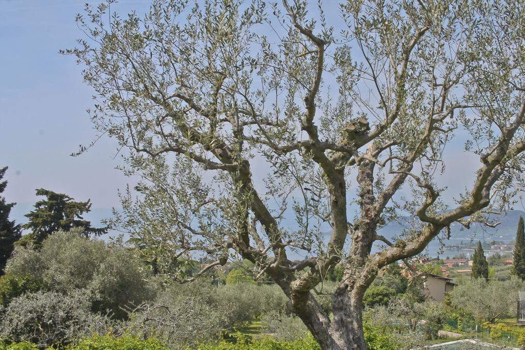 ברדולינו Lovely Villa Elena - Garda Lake מראה חיצוני תמונה